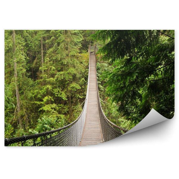 Papier peint Lynn Forêt De Conifères Pont De Corde