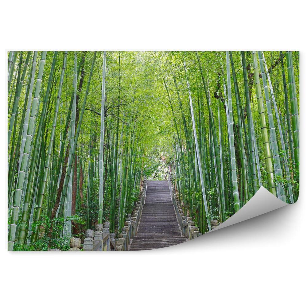 Papier peint Escalier en pierre Forêt de bambous Arbres