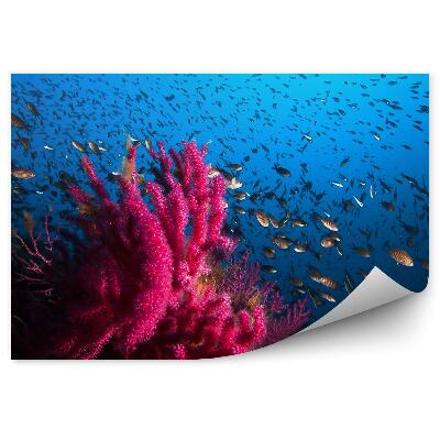 Papier peint Banc de poissons Récif rose Eau bleue