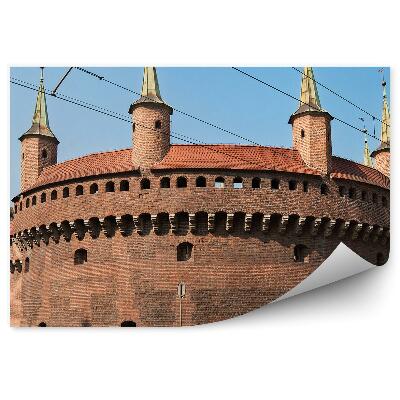 Papier peint Barbacane Cracovie Arbres