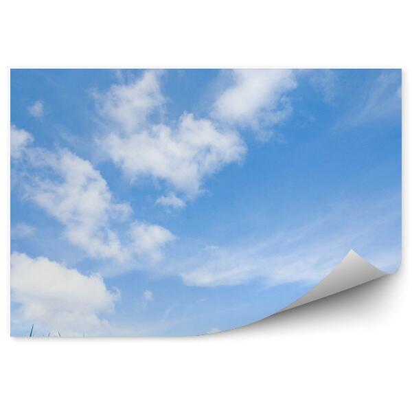 Papier peint Ciel bleu Nuages Herbe verte