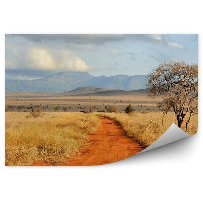 Papier peint Route sable herbe sèche végétation collines