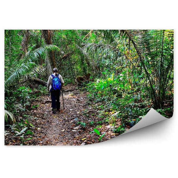 Papier peint Voyageur Jungle Randonnée Feuilles Vertes