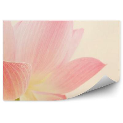 Papier peint Fleurs roses fond crème