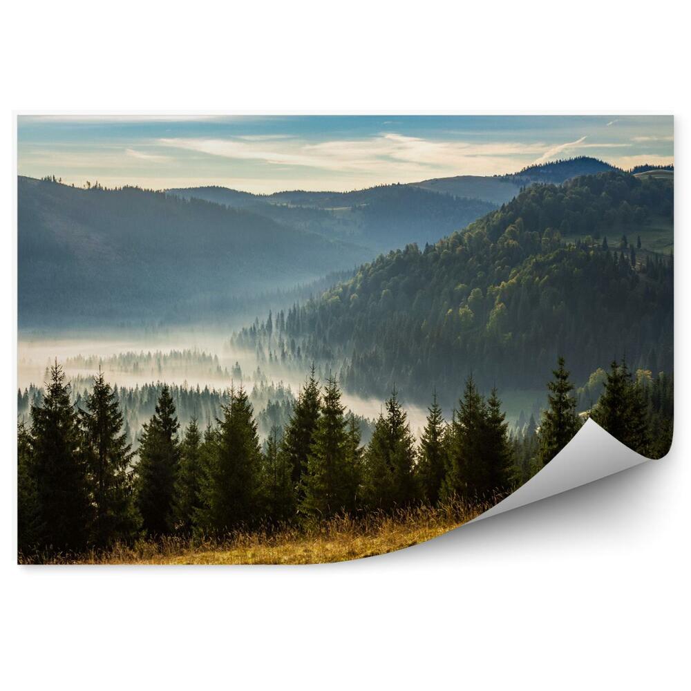 Papier peint Forêt de conifères dans les montagnes brumeuses au lever du soleil