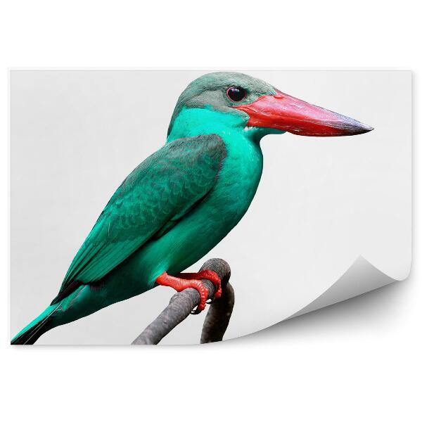 Papier peint Oiseau exotique vert