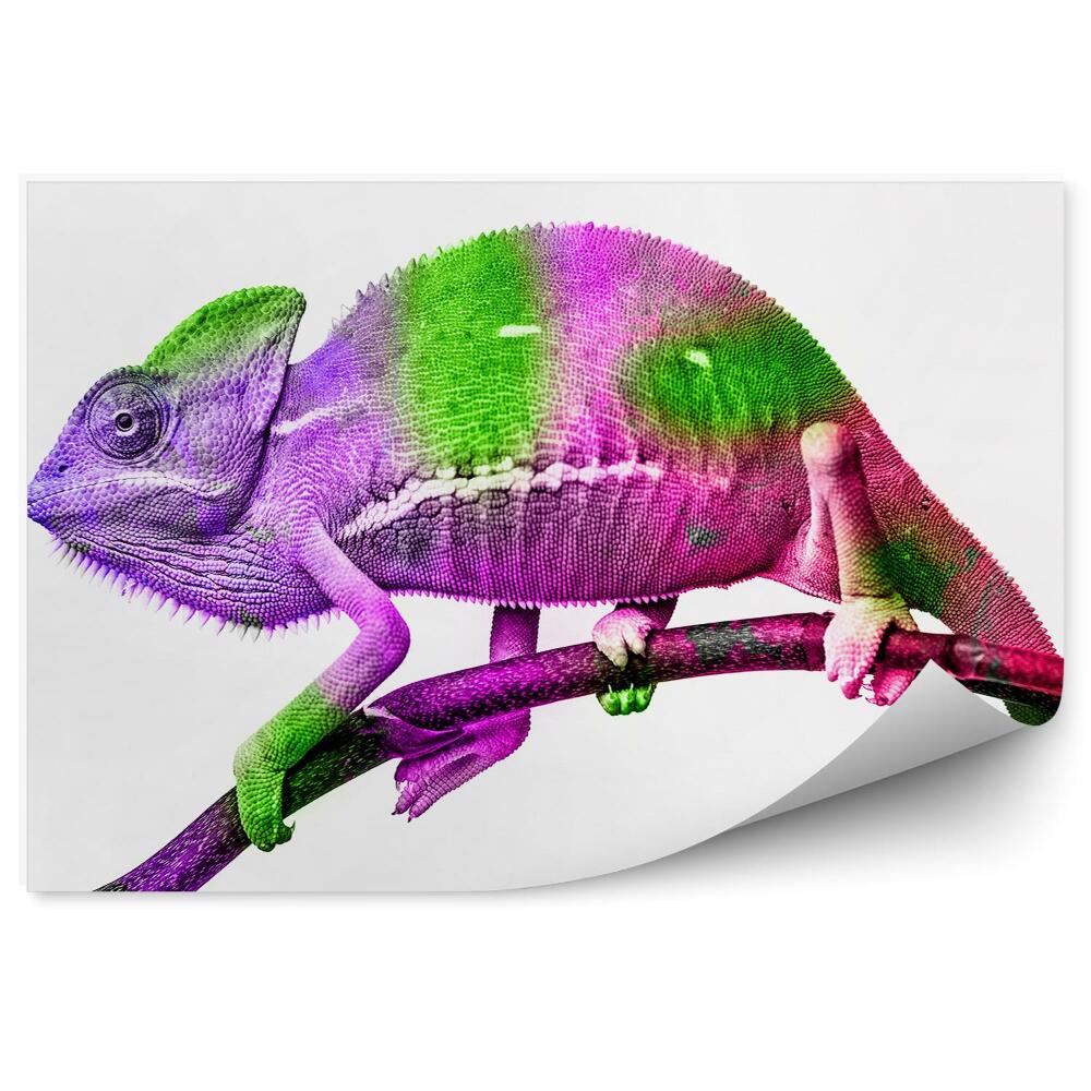 Papier peint Caméléon Coloré