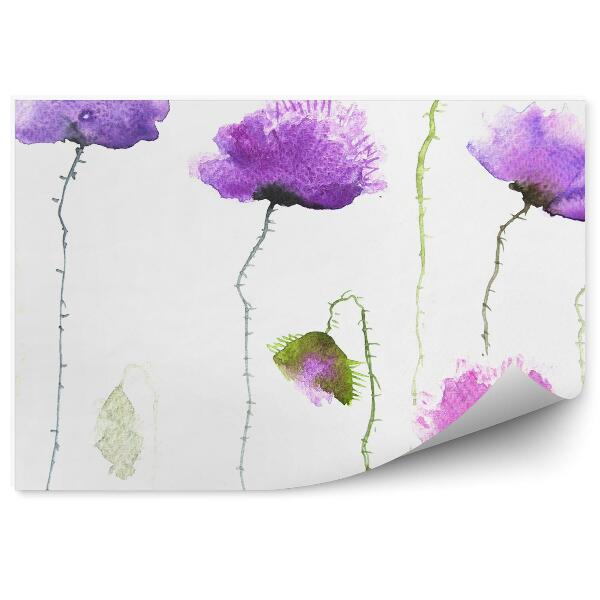 Papier peint Fleurs de coquelicots violets image