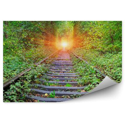Papier peint Chemins de fer en forêt soleil nature