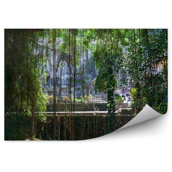 Papier peint Temple Jungle Feuilles Arbres