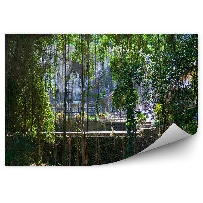 Papier peint Temple Jungle Feuilles Arbres