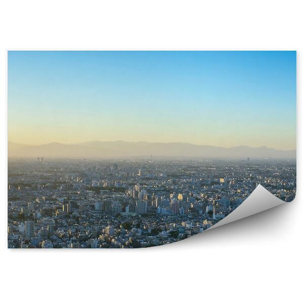 Papier peint Vue d'oiseau Tokyo Japon