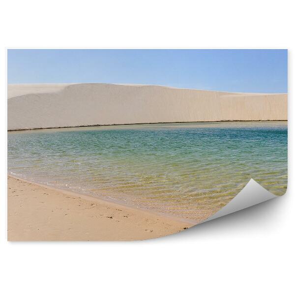 Papier peint Dunes Sable Rivage Eau