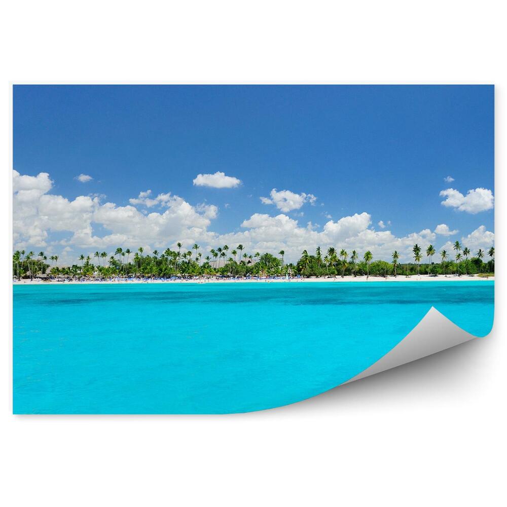 Papier peint Palmiers Caraïbes Mer Plage Ciel Nuages
