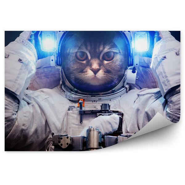 Papier peint Un Chat, Un Astronaute, Une Lumière De L'espace, La Planète Terre