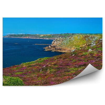 Papier peint Cornouailles Anglia Montagnes Rochers Plantes Colorées Océan Ciel