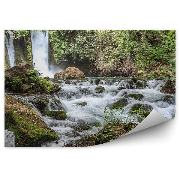 Papier peint Collines Cascade Forêt dense Végétation