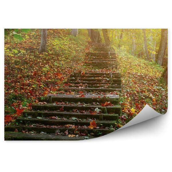 Papier peint Escalier en pierre dans une forêt paysage d'automne