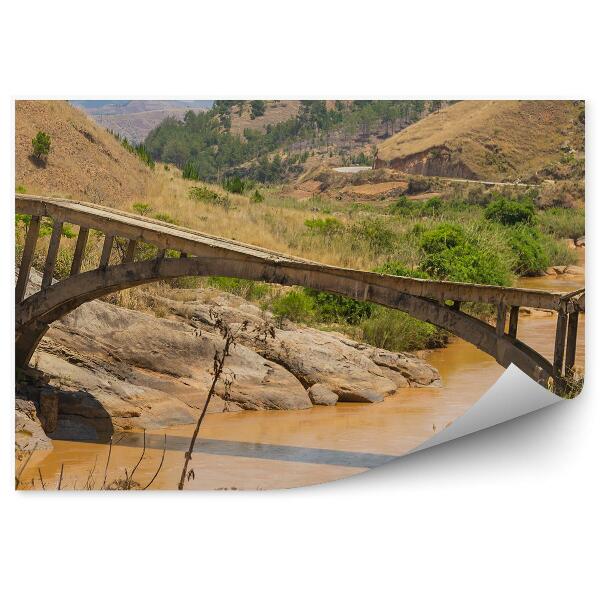 Papier peint Vieux Pont Endommagé Montagnes Plantes Rivière Boueuse Rochers