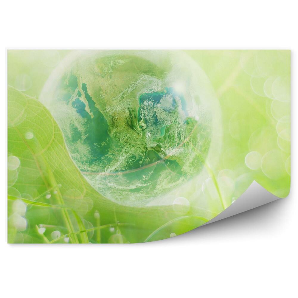 Papier peint Boule De Verre Terrestre Feuilles Vertes