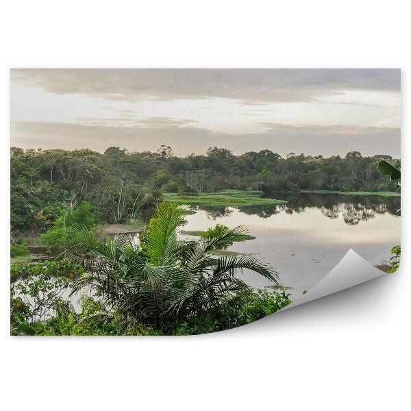 Papier peint Feuilles de palmier Jungle Amazonie Arbres Lac vert