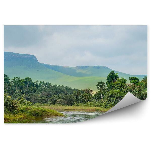 Papier peint Rivière dans la jungle Collines Nature