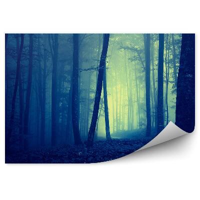Papier peint Brouillard De Forêt Bleu Foncé