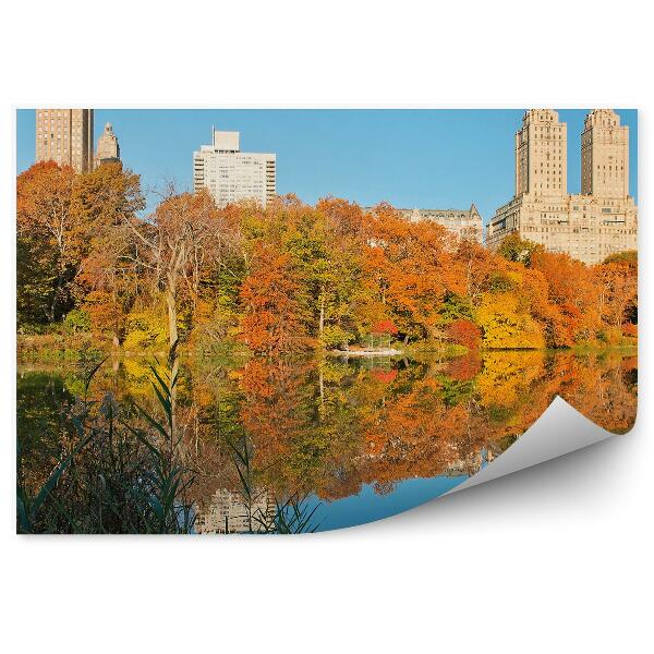 Papier peint Central Park Automne Maisons Gratte-ciel Rivière New York Ombres