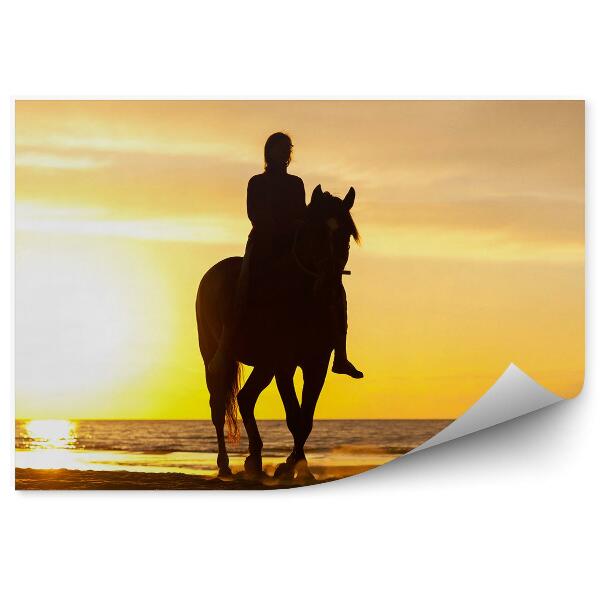 Papier peint Fille Cheval Silhouette Mer Baltique Plage