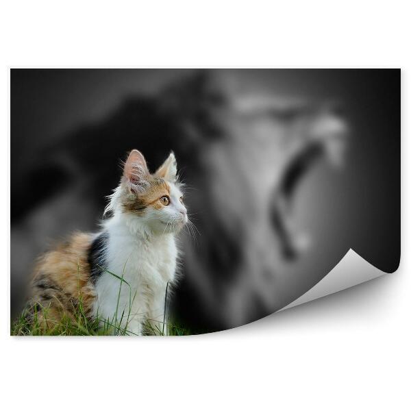 Papier peint Chat Marron Blanc Herbe Noir Et Blanc Fond Lion