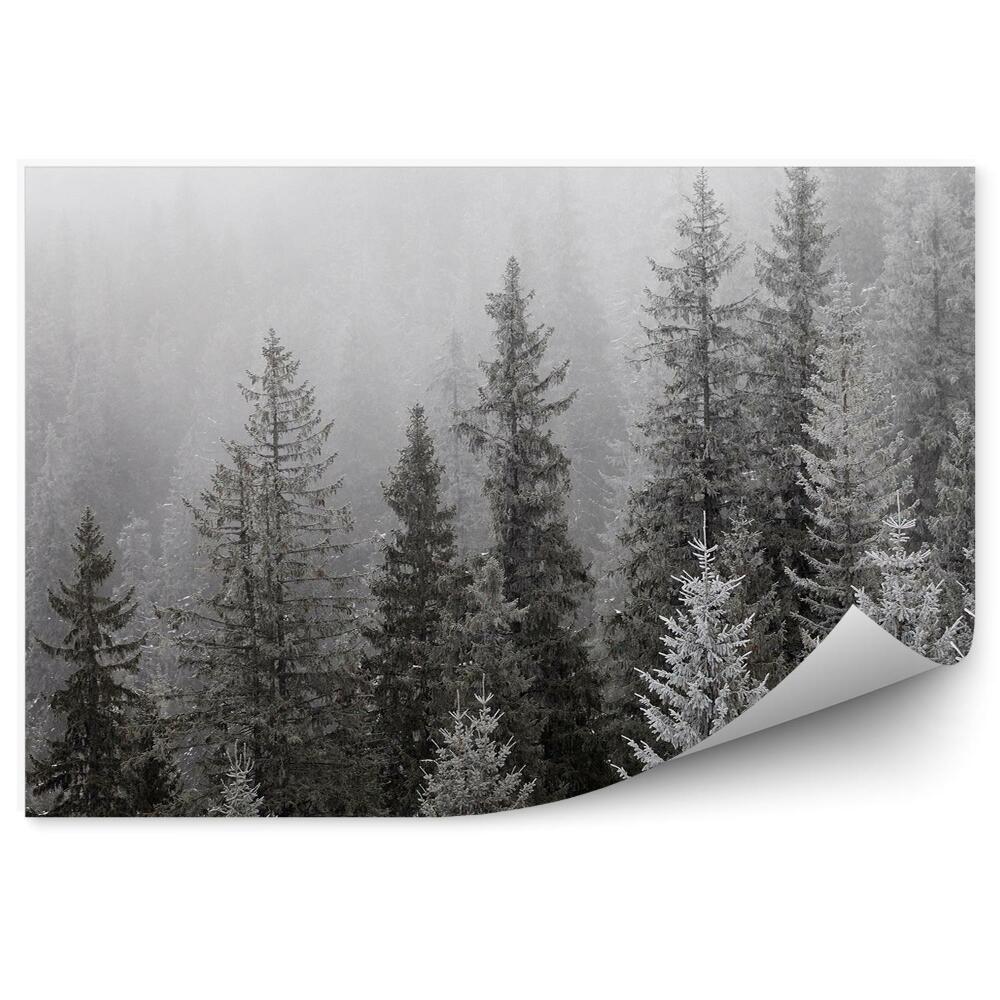 Papier peint Forêt D'hiver Montagnes Cerfs