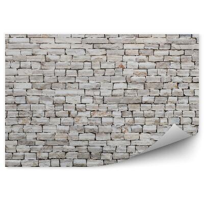 Papier peint Mur en ardoise