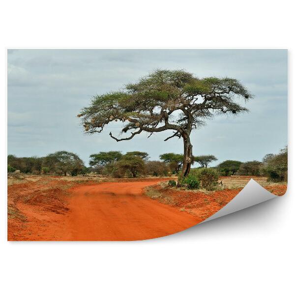 Papier peint Arbres Savane Route Tsavo Ciel