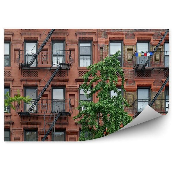 Papier peint Immeuble Appartement Arbres Escalier New York