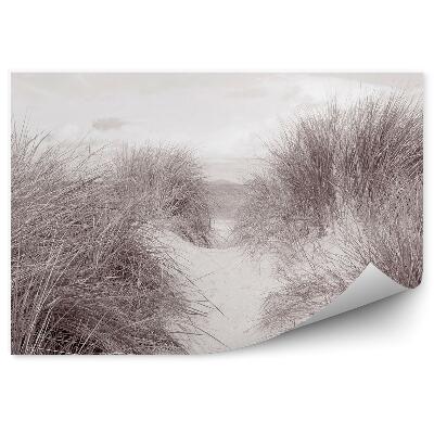 Papier peint Herbe sauvage Plage de sable Noir et blanc