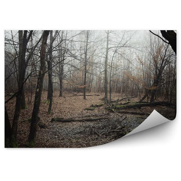 Papier peint Forêt Brisée Arbres Brume