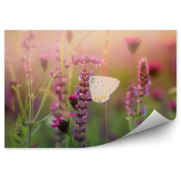 Tapisserie panoramique Papillon sur une prairie fleurie