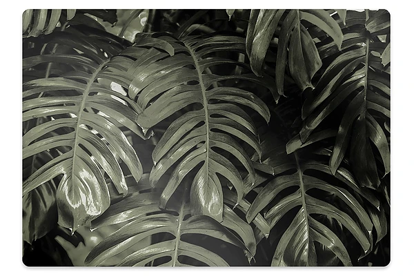 Tapis de chaise Feuilles de bananier