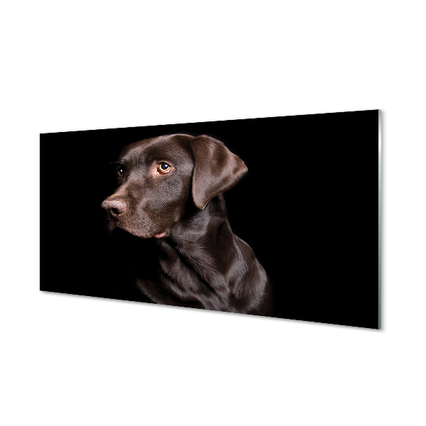 Tableau en verre Chien brun