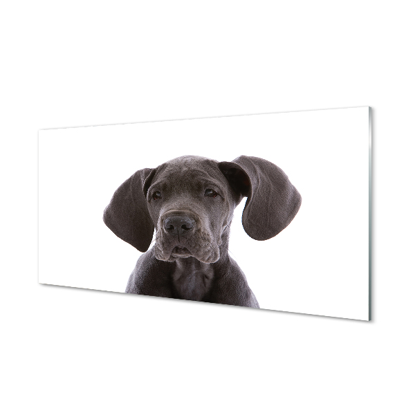 Tableau sur verre Chien brun