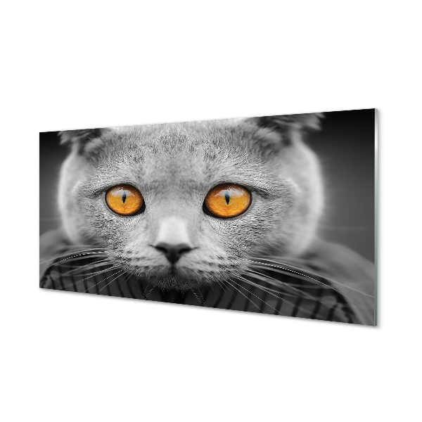 Tableau en verre Chat gris britannique