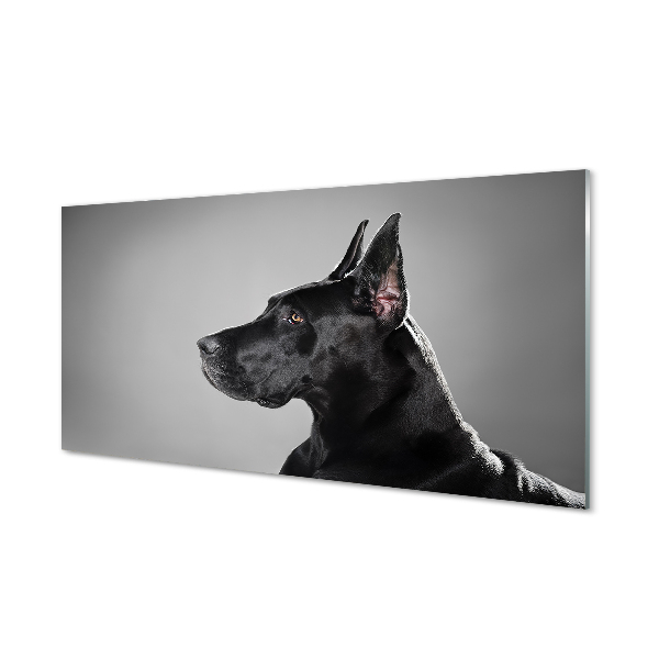 Tableau imprimé sur verre Chien noir