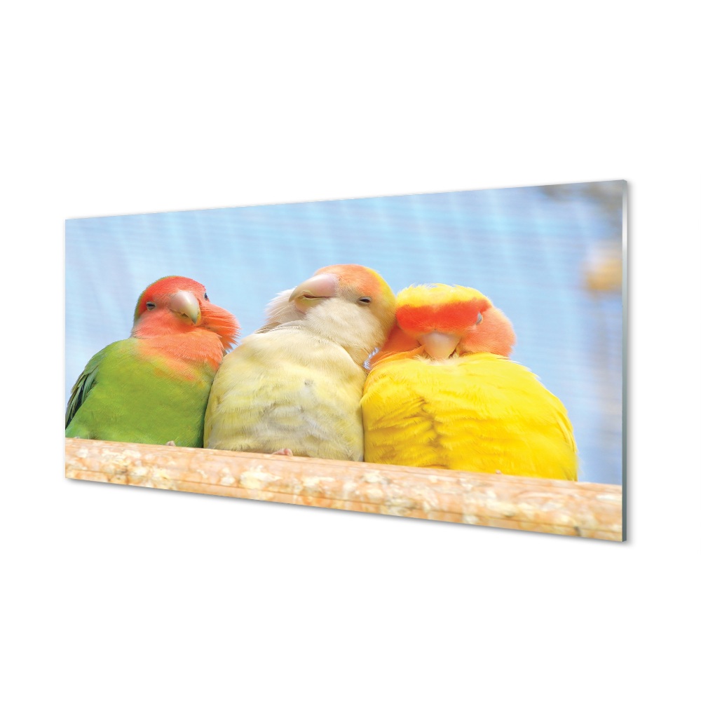 Tableau sur verre Perroquet coloré