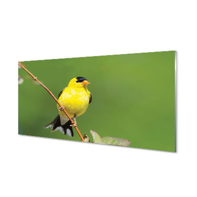 Tableau verre imprimé Perroquet jaune
