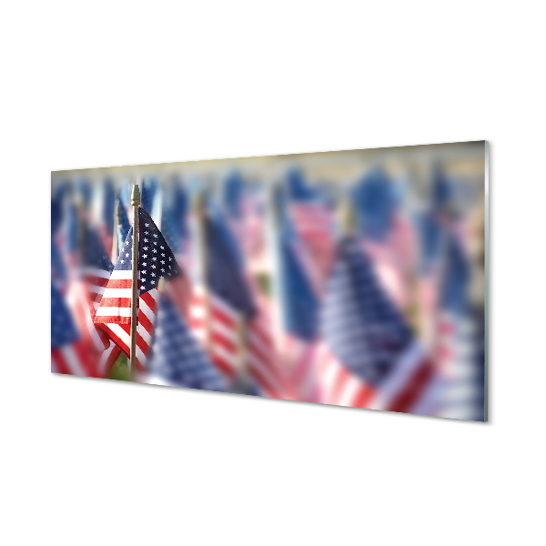 Tableau photo sur verre Etats-unis flag