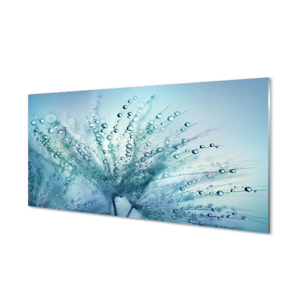 Tableau photo sur verre Pissenlit macro gouttes