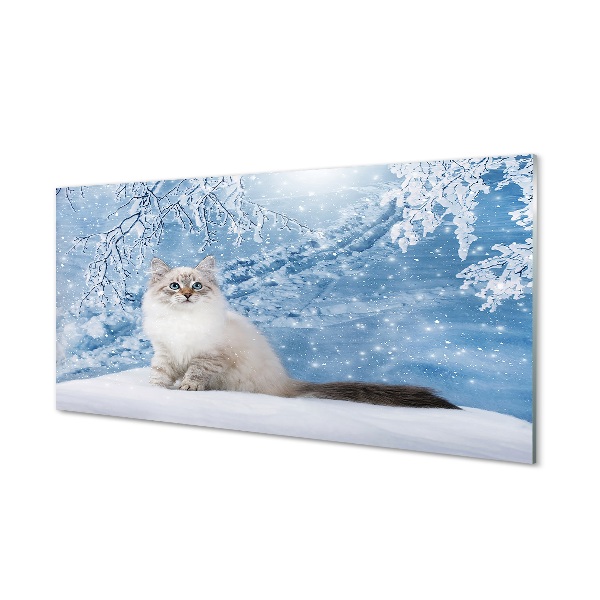 Tableau imprimé sur verre Hiver chat