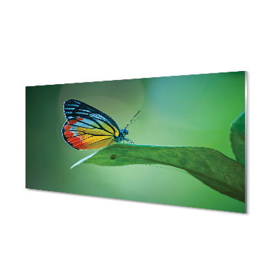 Tableau imprimé sur verre Feuille papillon coloré