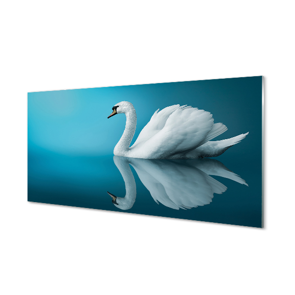 Tableau photo sur verre Swan dans l'eau