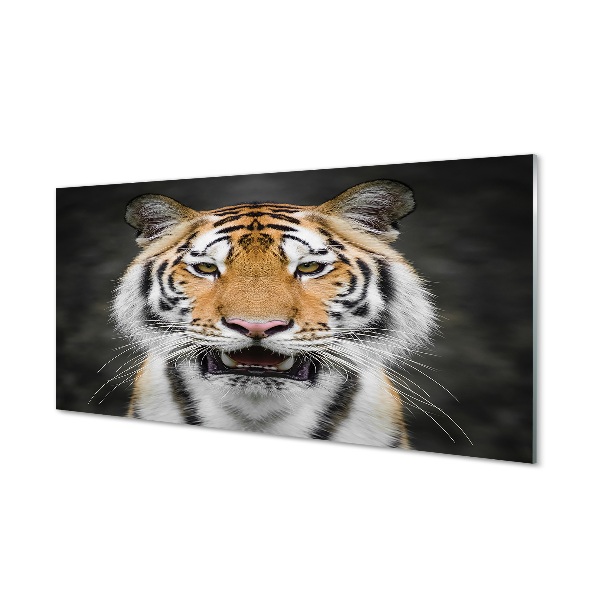 Tableau photo sur verre Tigre